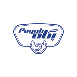 pegah-logo